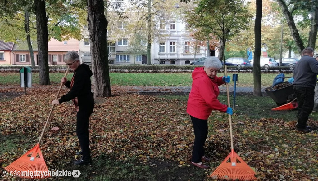 Projekt socjalny LIŚĆ