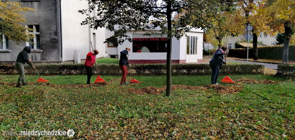 Projekt socjalny LIŚĆ