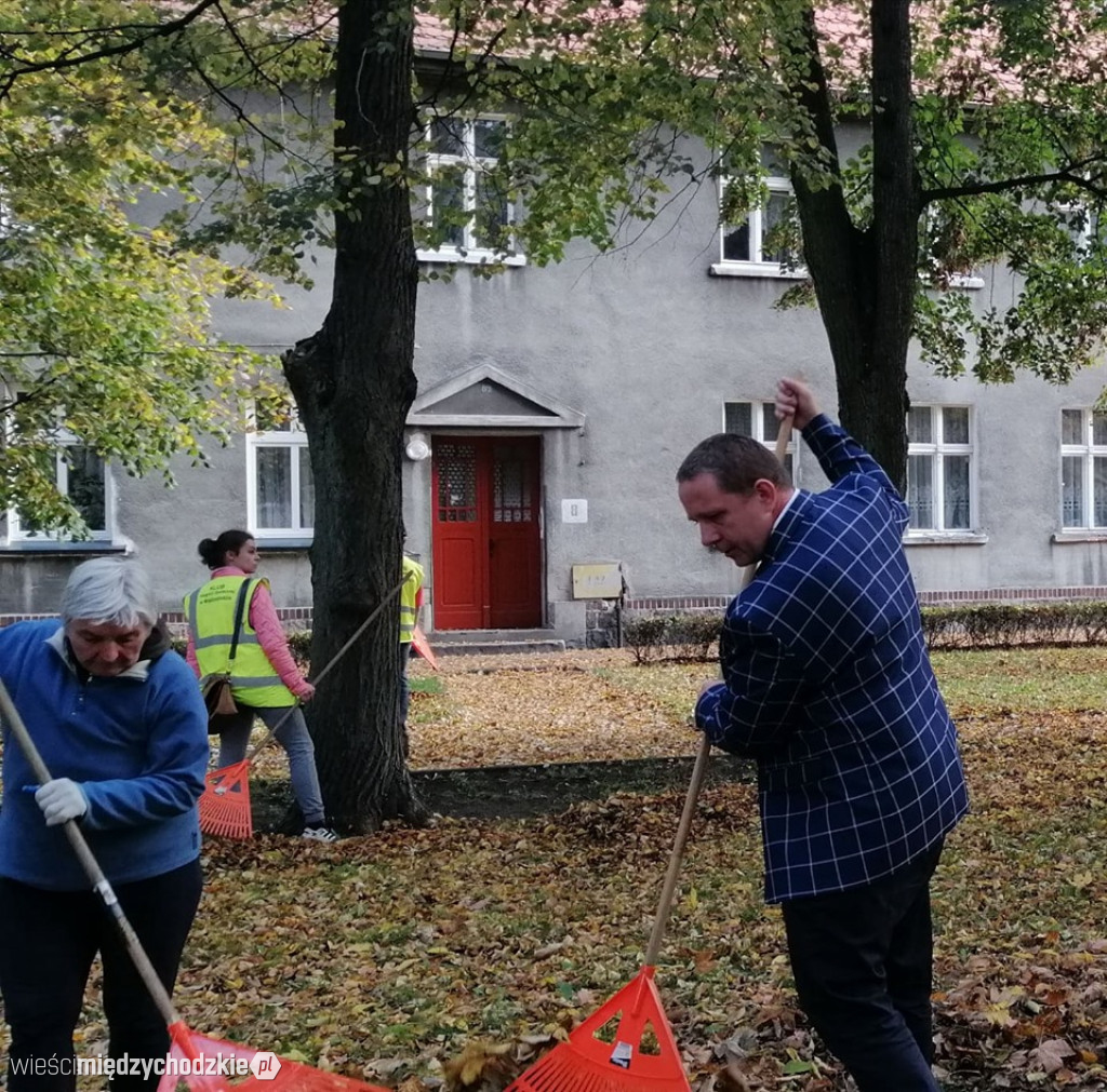 Projekt socjalny LIŚĆ