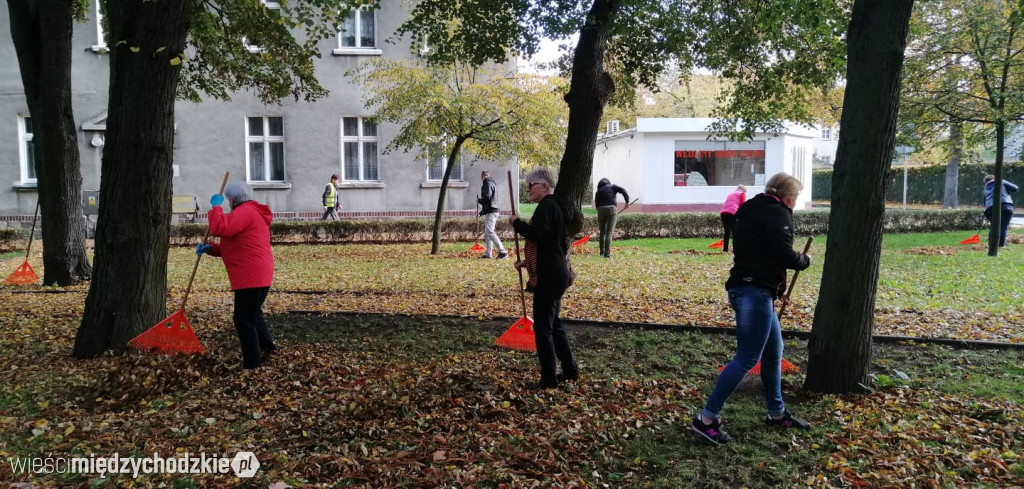 Projekt socjalny LIŚĆ