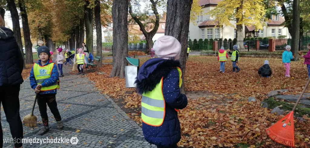Projekt socjalny LIŚĆ
