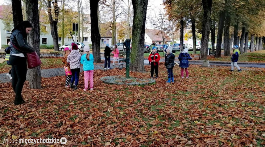 Projekt socjalny LIŚĆ