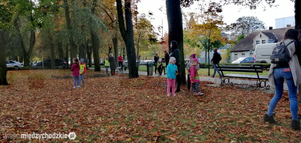 Projekt socjalny LIŚĆ