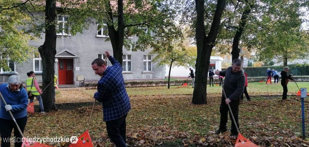 Projekt socjalny LIŚĆ