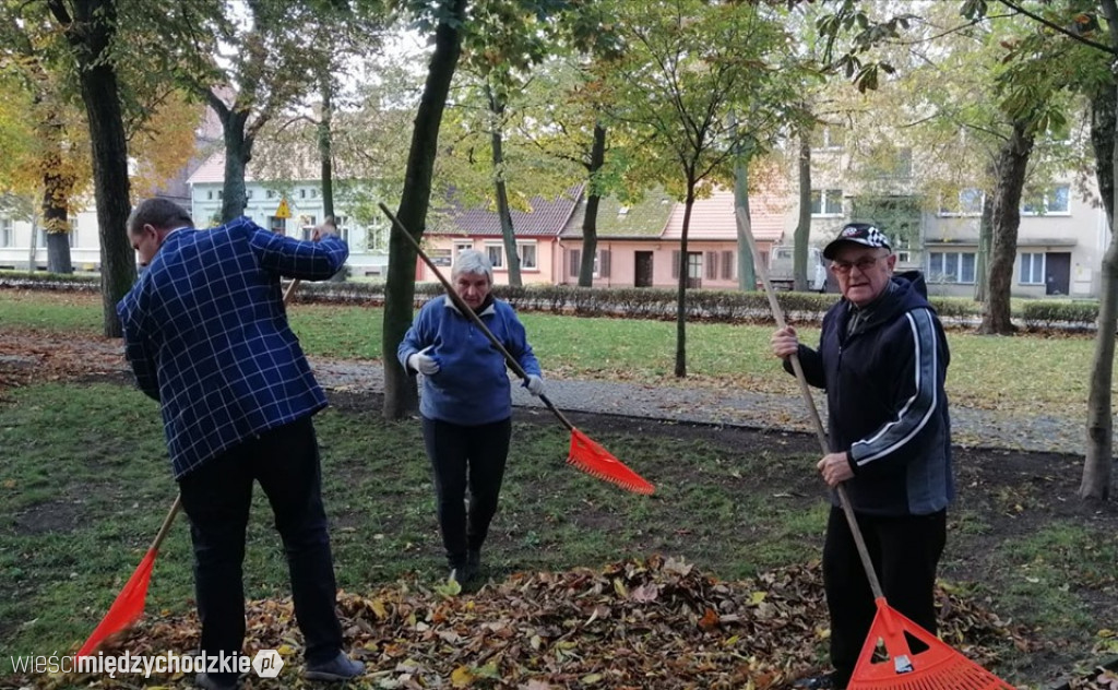 Projekt socjalny LIŚĆ