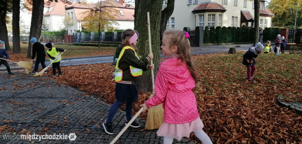 Projekt socjalny LIŚĆ