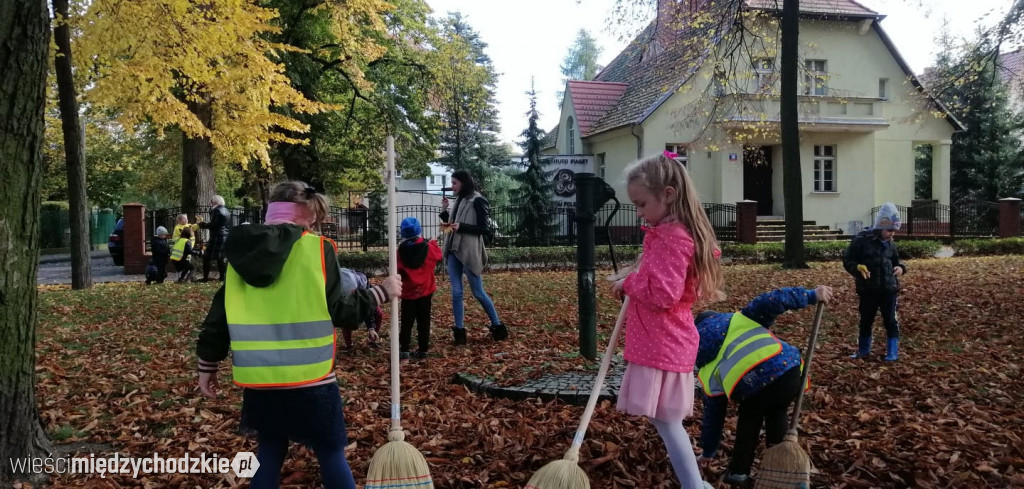 Projekt socjalny LIŚĆ