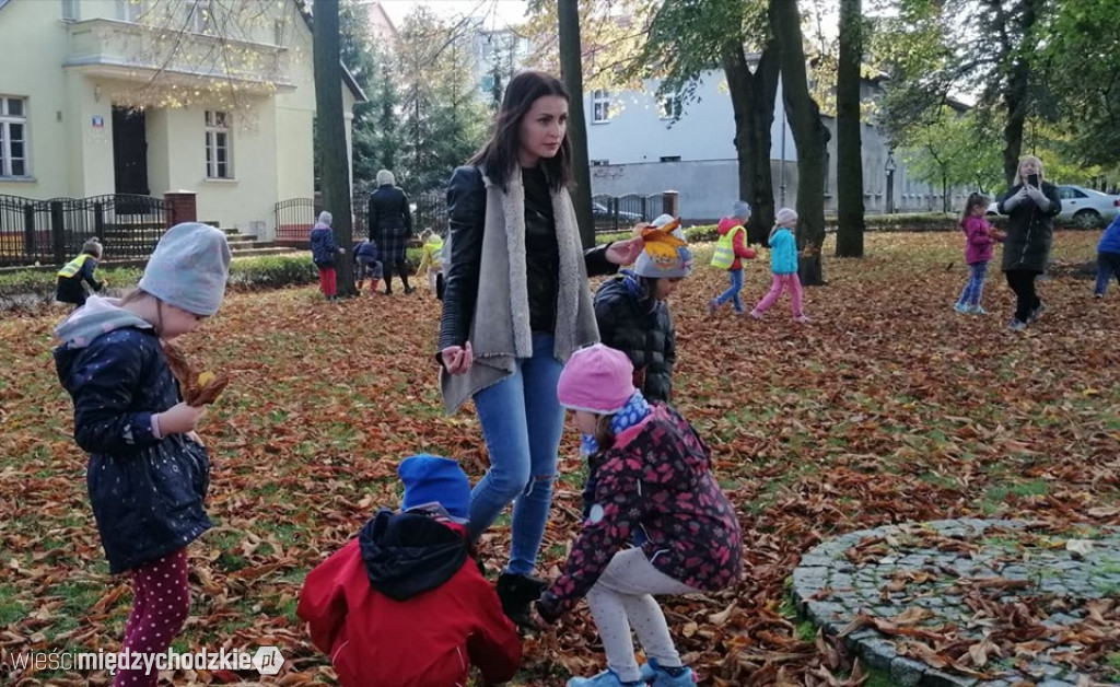Projekt socjalny LIŚĆ
