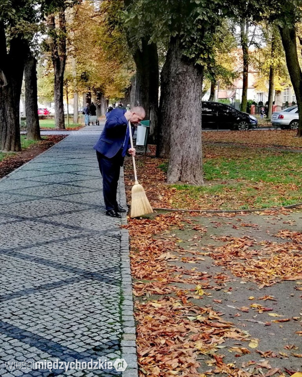 Projekt socjalny LIŚĆ