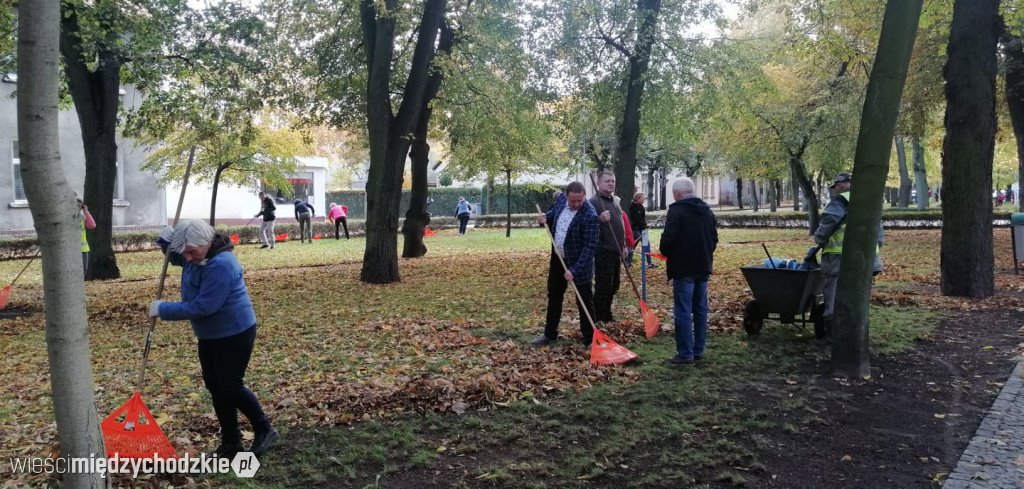 Projekt socjalny LIŚĆ