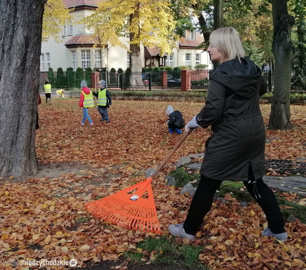 Projekt socjalny LIŚĆ