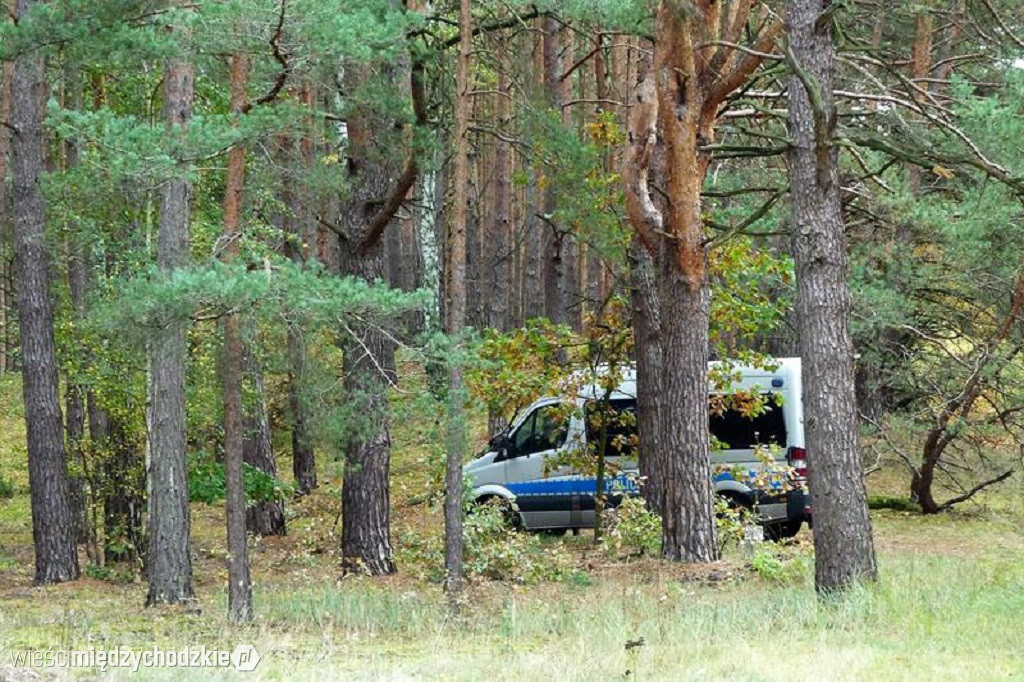 Poszukiwania Jacka D. zakończone