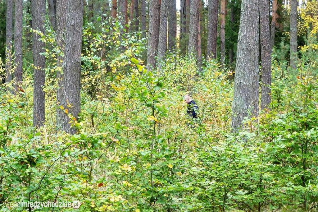 Poszukiwania Jacka D. zakończone