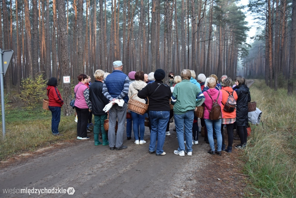 Studenci UTW Międzychód na grzybach