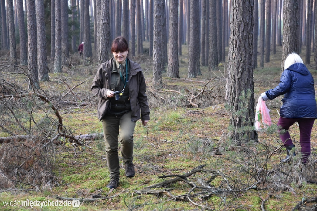 Studenci UTW Międzychód na grzybach