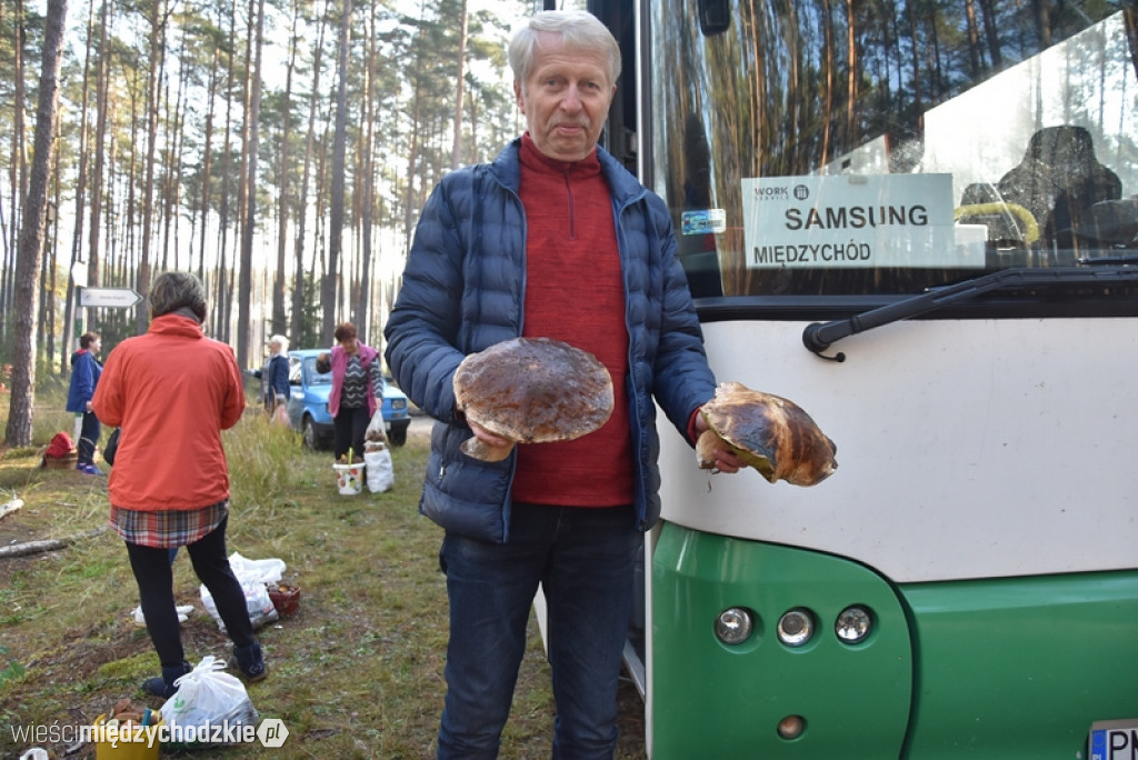 Studenci UTW Międzychód na grzybach