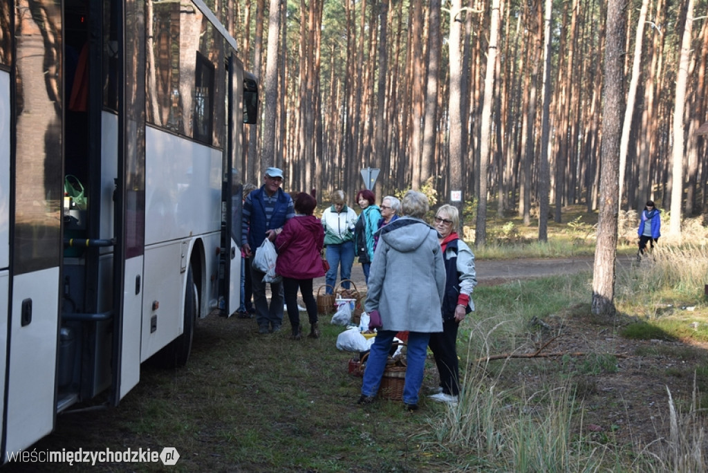 Studenci UTW Międzychód na grzybach