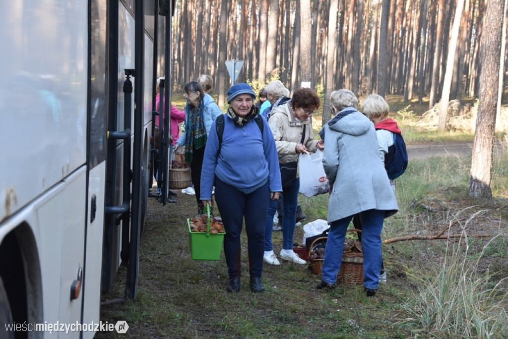 Studenci UTW Międzychód na grzybach