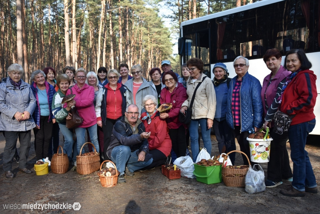 Studenci UTW Międzychód na grzybach