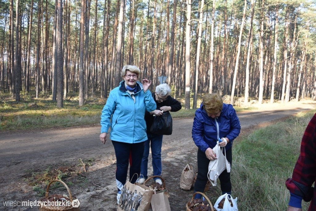 Studenci UTW Międzychód na grzybach