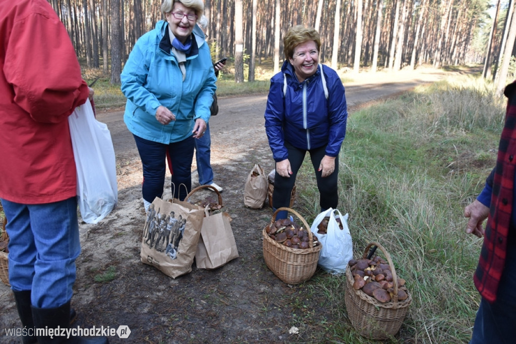 Studenci UTW Międzychód na grzybach