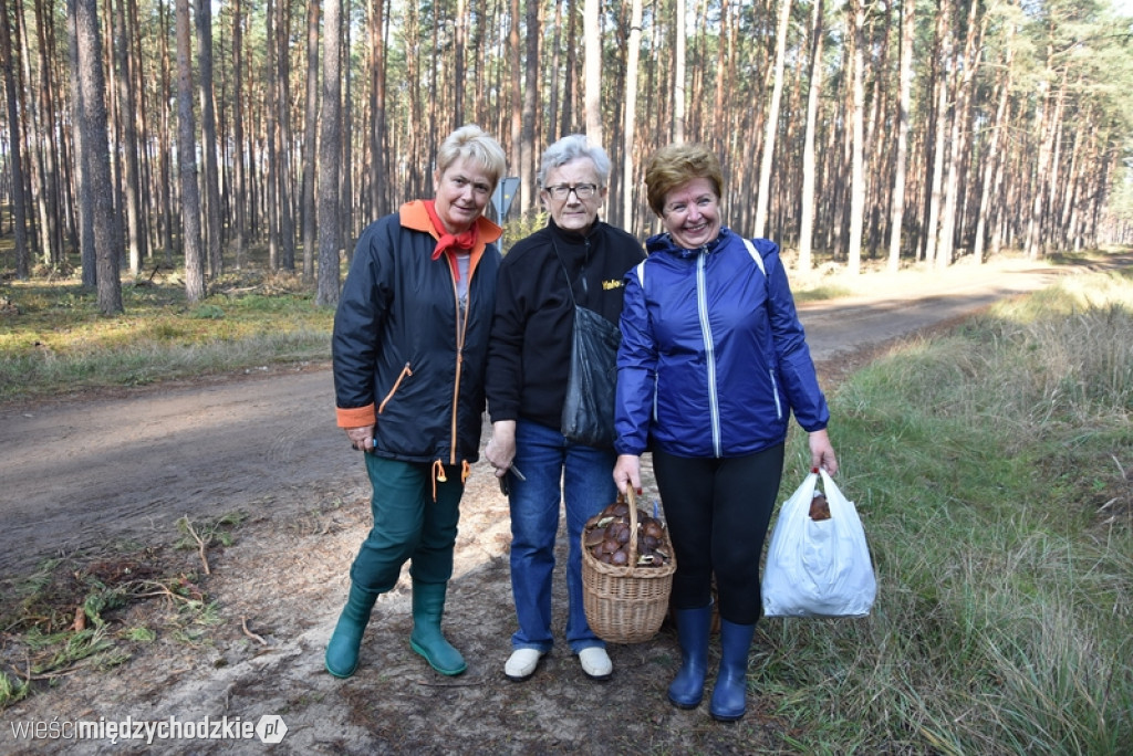 Studenci UTW Międzychód na grzybach