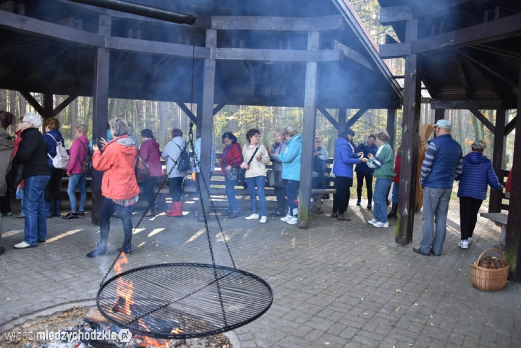 Studenci UTW Międzychód na grzybach