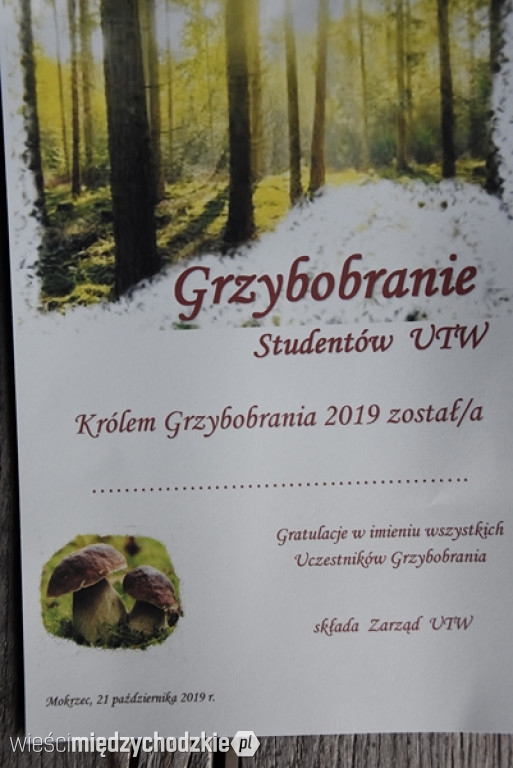 Studenci UTW Międzychód na grzybach