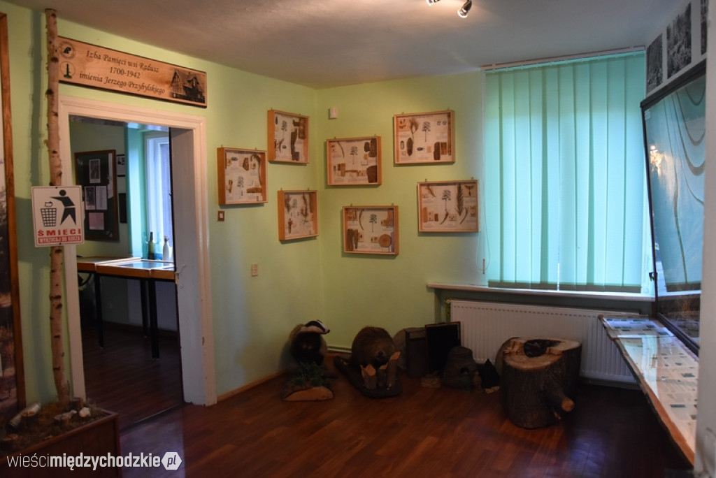 Studenci UTW Międzychód na grzybach