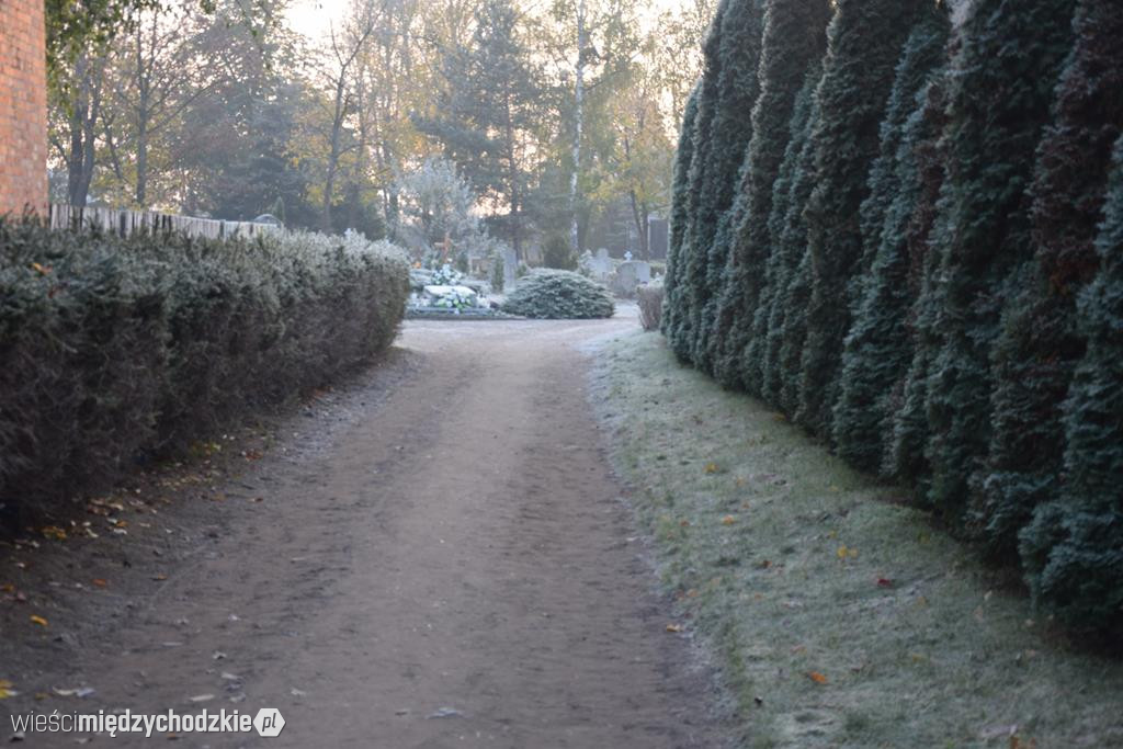 Międzychodzkie cmentarze o poranku