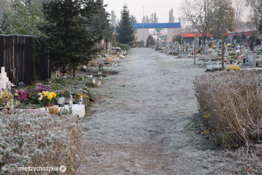 Międzychodzkie cmentarze o poranku