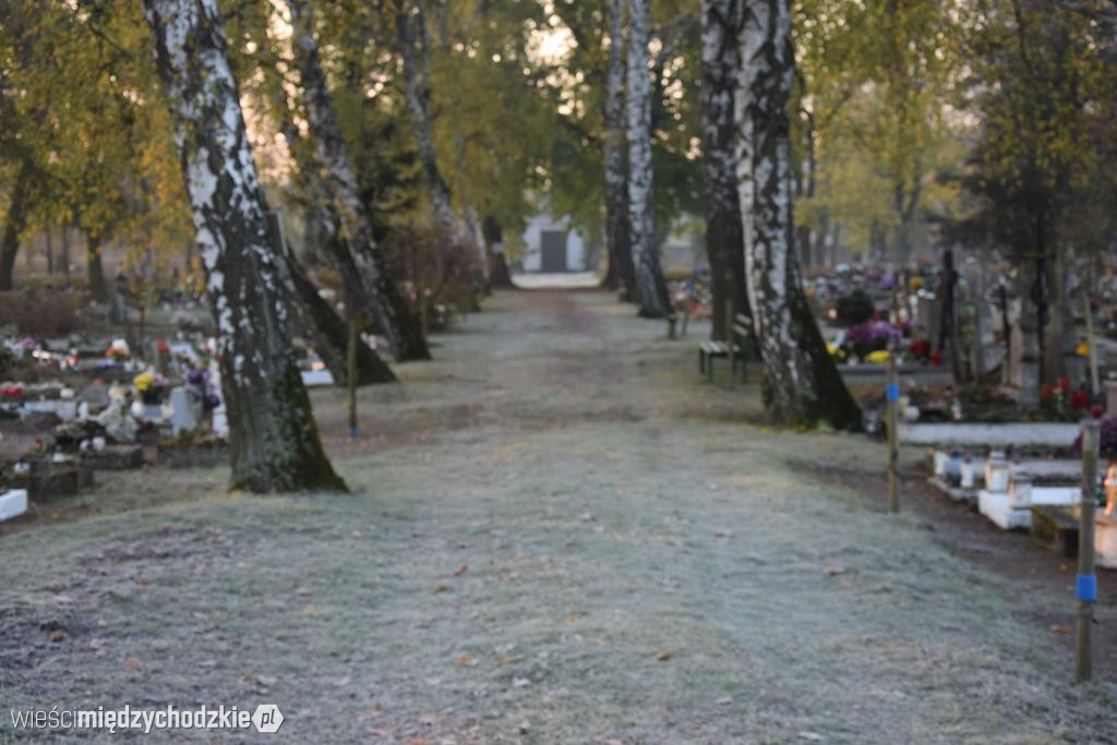 Międzychodzkie cmentarze o poranku