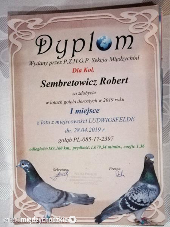 Podsumowanie sezonu Hodowców Gołębi