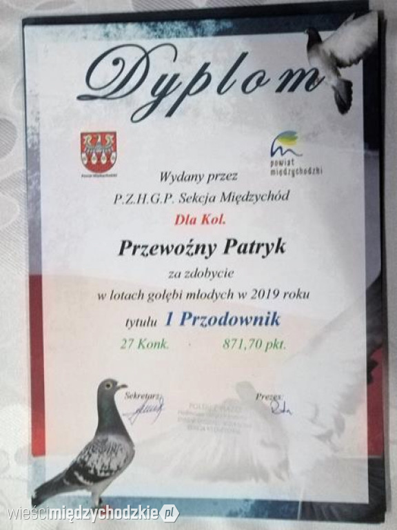 Podsumowanie sezonu Hodowców Gołębi