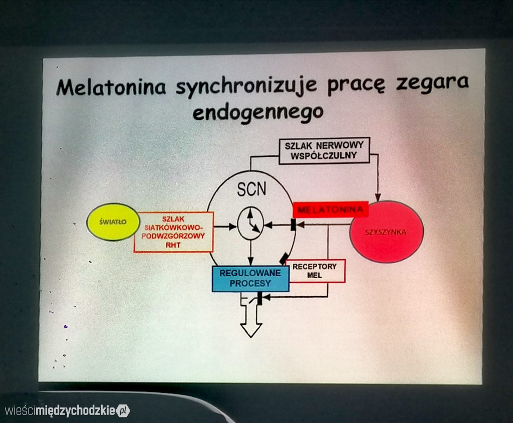 Do czego mieszkańcy Ziemi potrzebują ciemnej nocy?