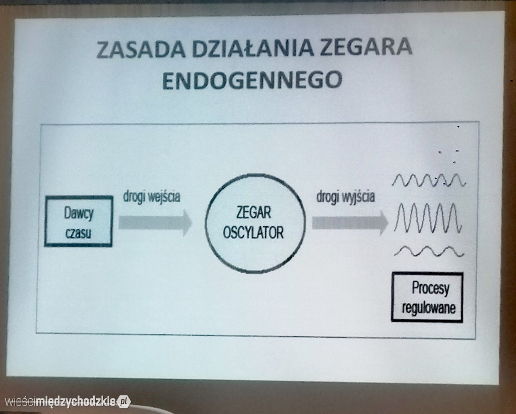  Odzyskać noc utraconą- zanieczyszczenie nieba światłem