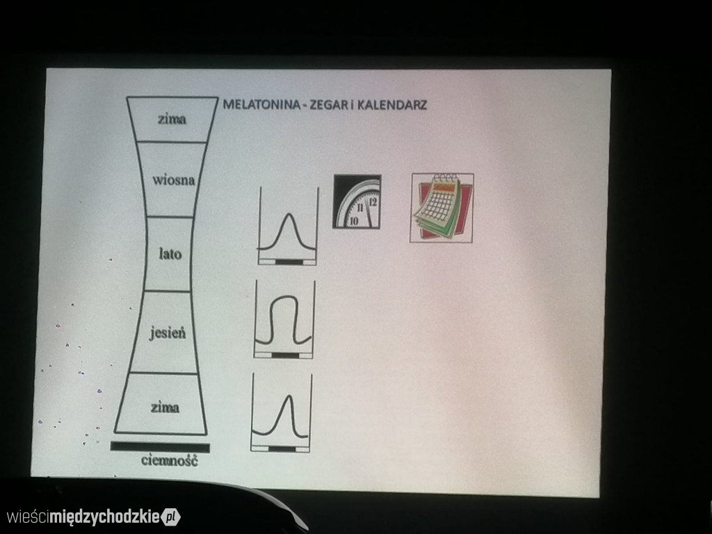  Odzyskać noc utraconą- zanieczyszczenie nieba światłem
