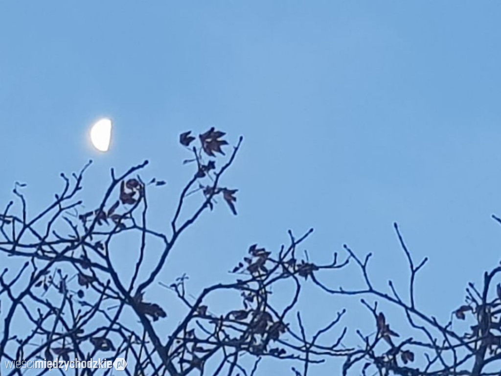 Wschód słońca nad Zatomiem Nowym