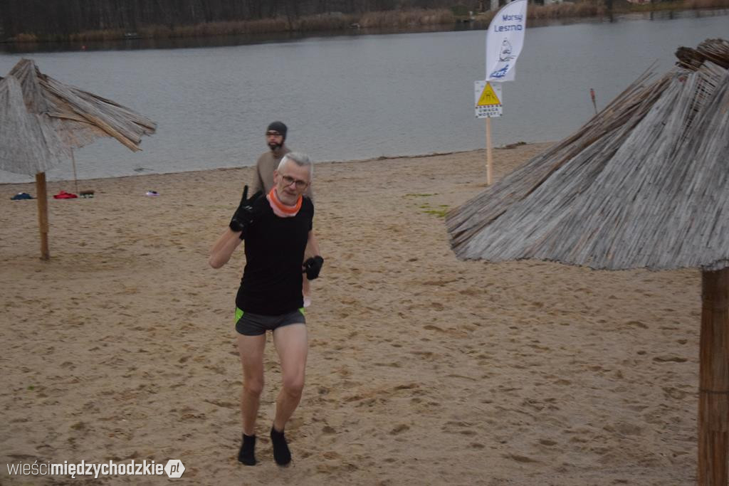 Morsy na plaży w Olandii