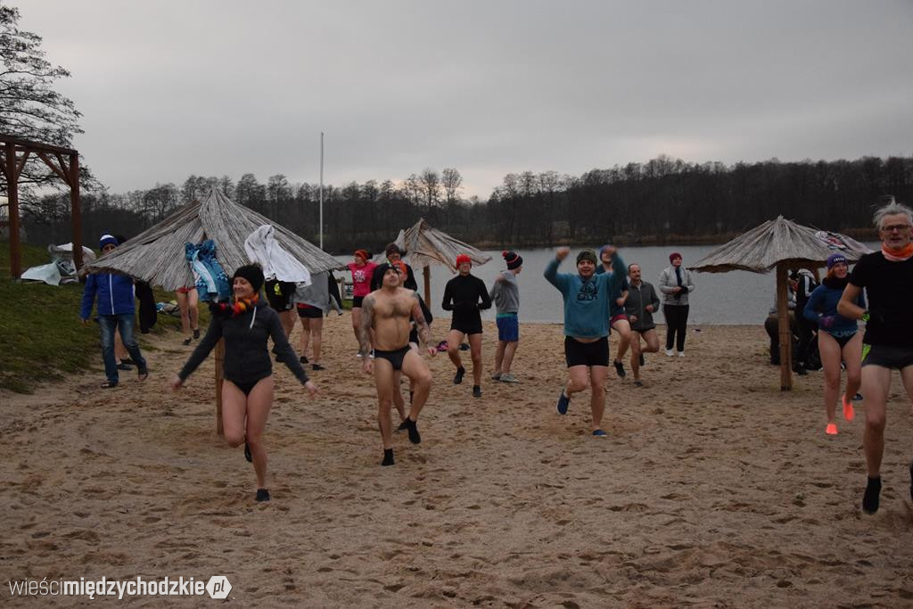 Morsy na plaży w Olandii
