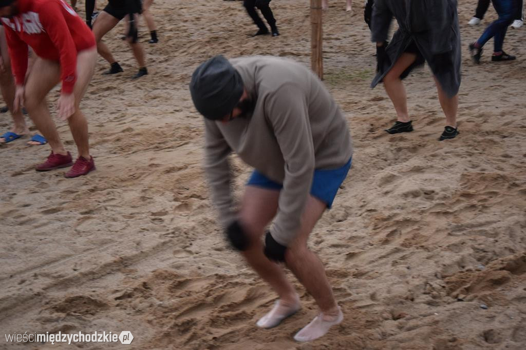 Morsy na plaży w Olandii