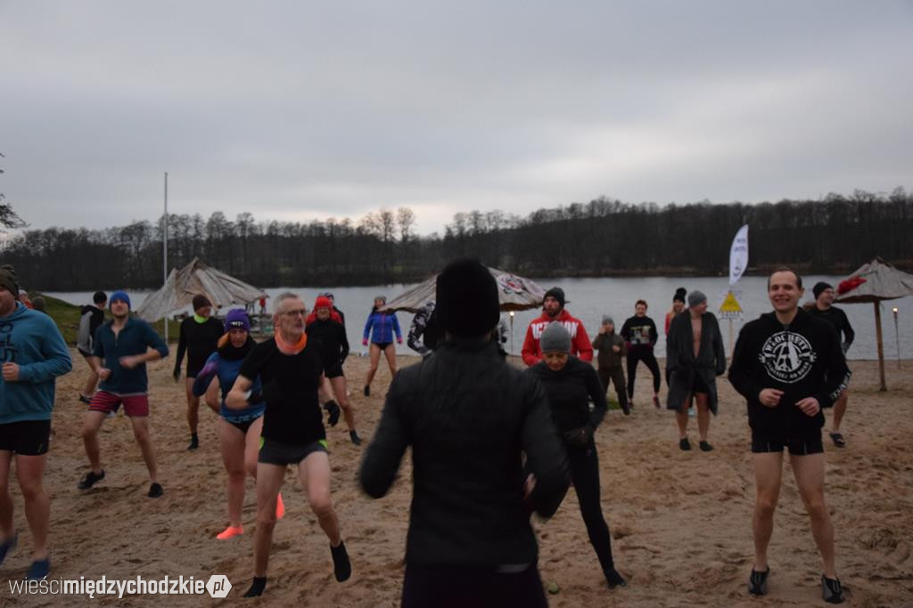 Morsy na plaży w Olandii