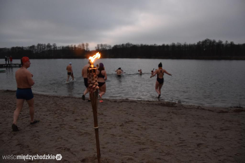 Morsy na plaży w Olandii
