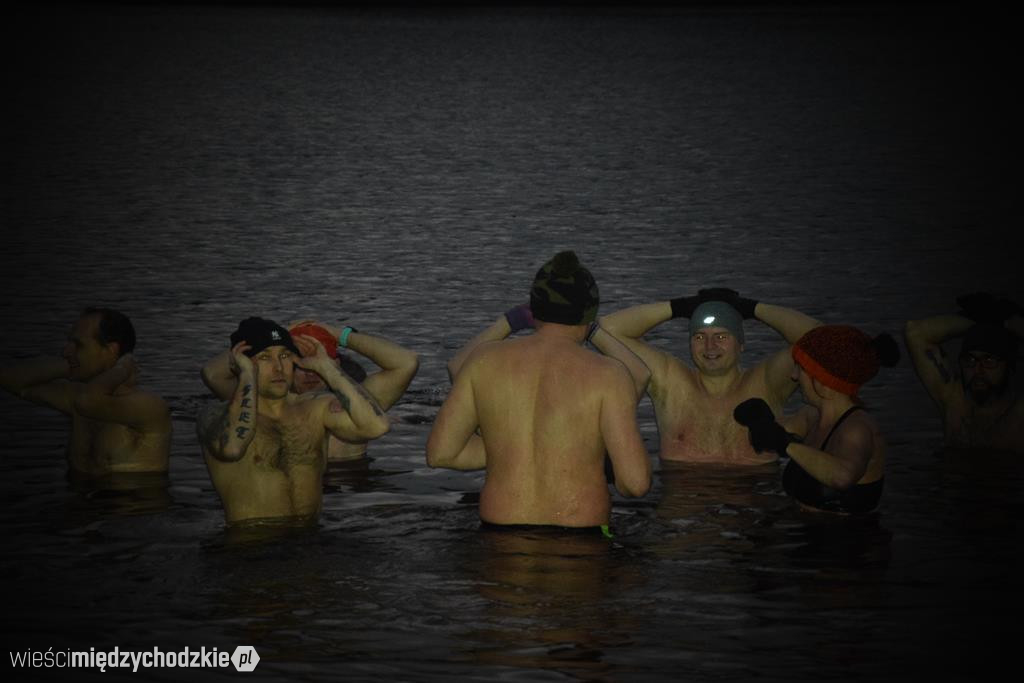 Morsy na plaży w Olandii