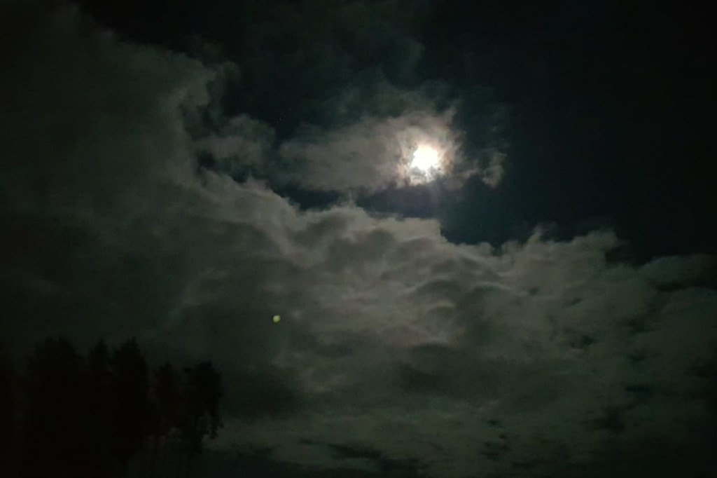 Nocny wypad w pogoni za księżycem