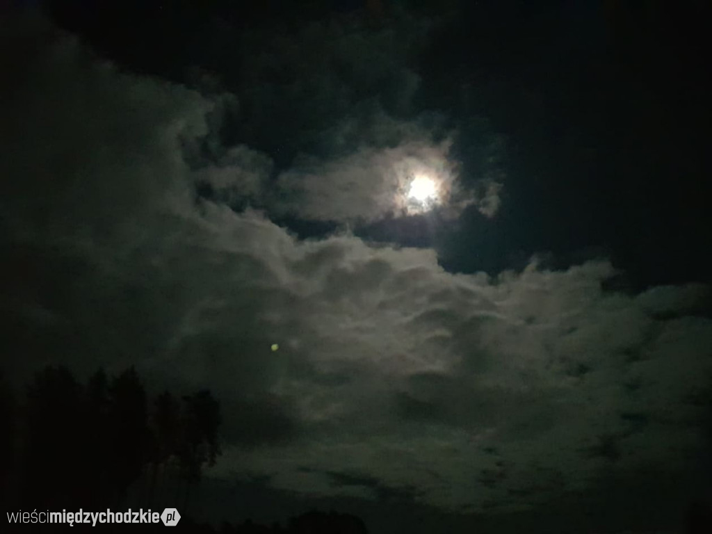Nocny wypad w pogoni za księżycem