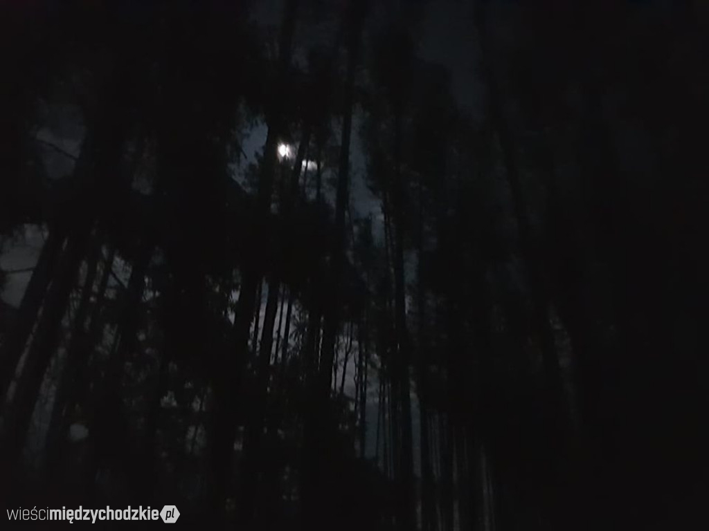 Nocny wypad w pogoni za księżycem