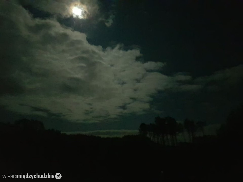 Nocny wypad w pogoni za księżycem