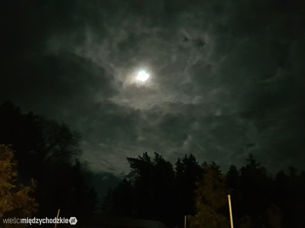 Nocny wypad w pogoni za księżycem