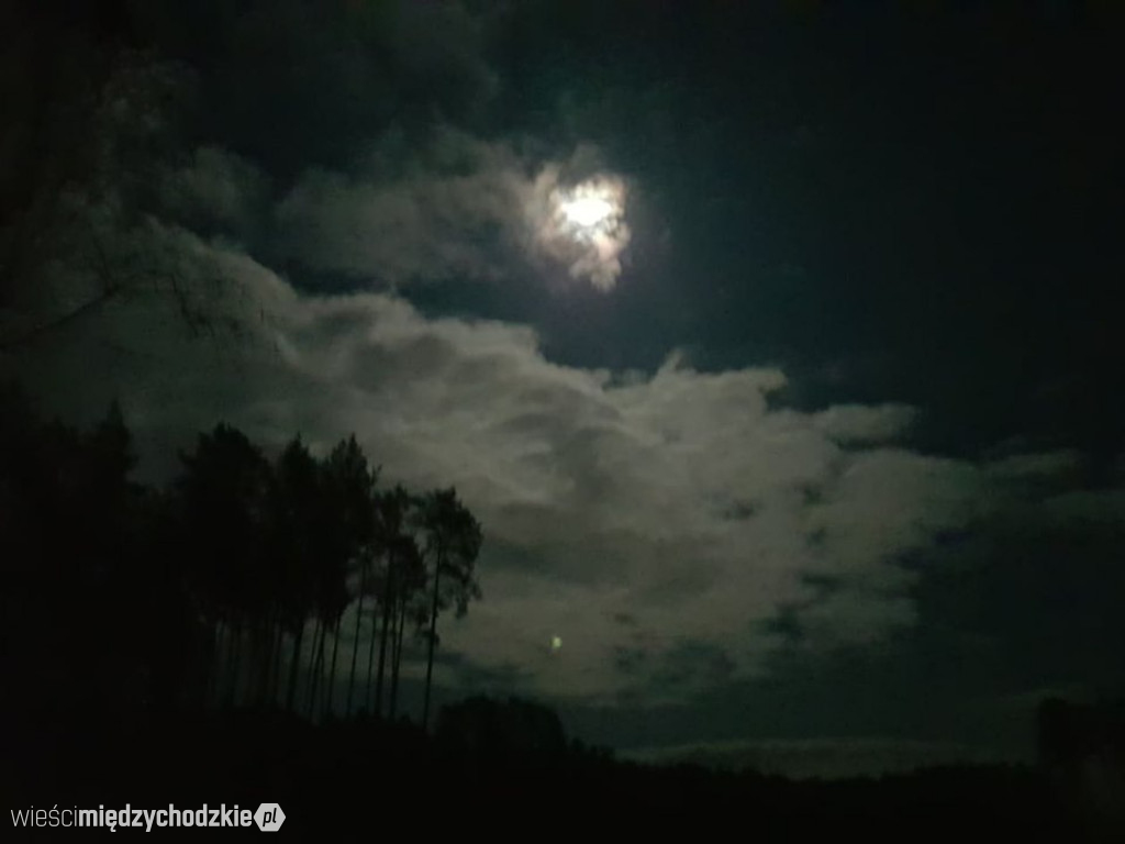 Nocny wypad w pogoni za księżycem